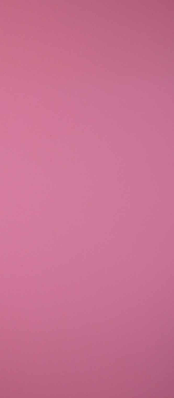 Flamingo Pink
