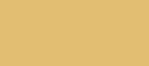 Tortila Brown