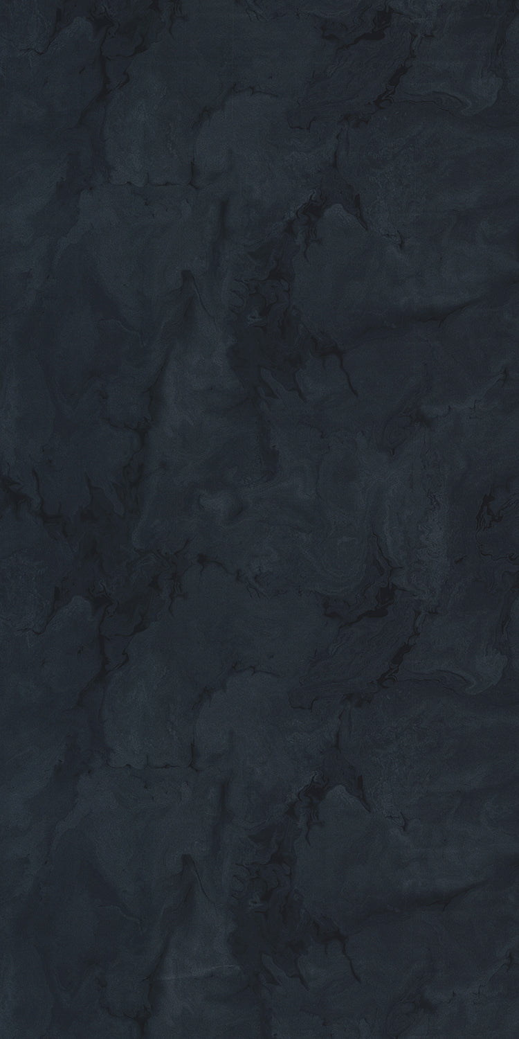 Fossil Black