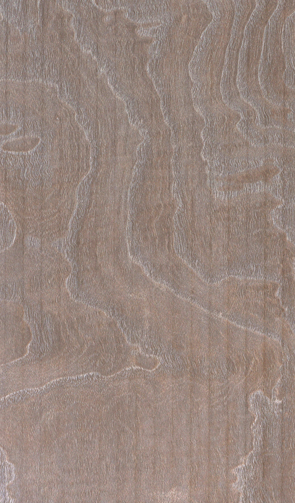 Grey Walnut Burl