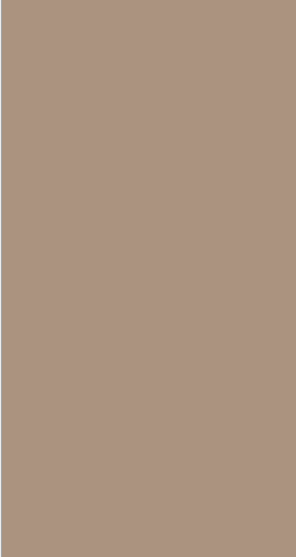 Muddy Beige