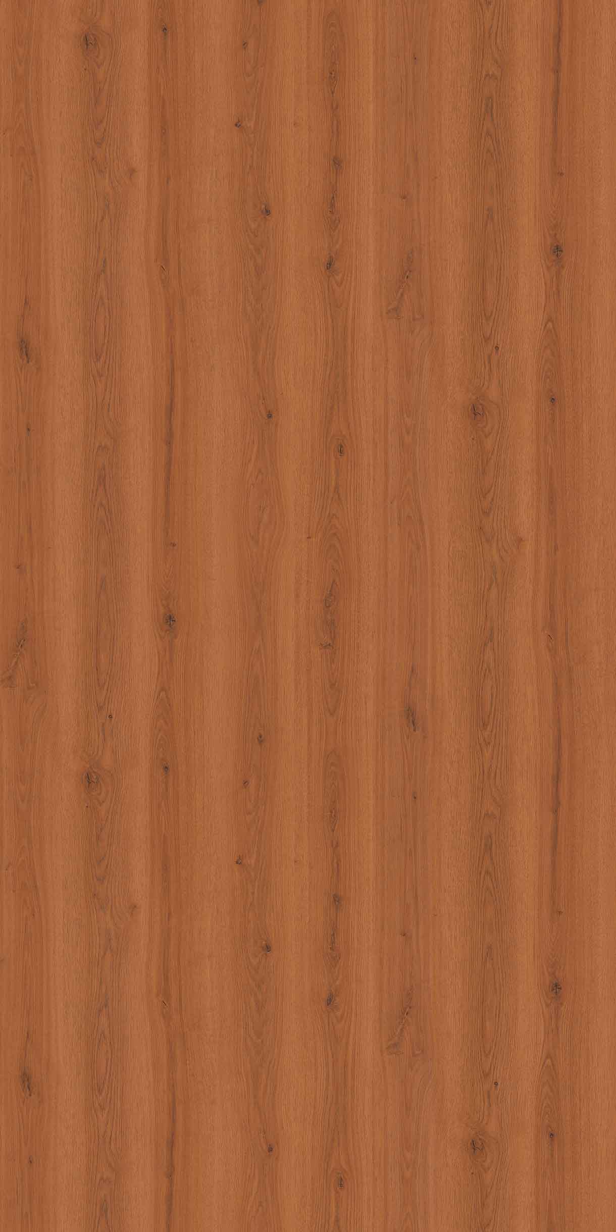 Salva Oak Exotic