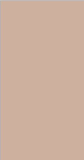 Sandy Beige