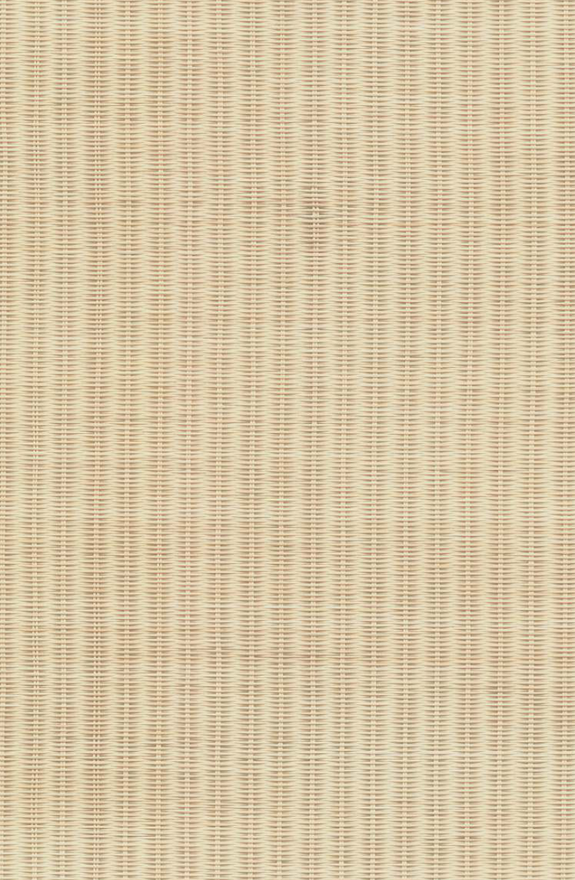 WPR 10 (Rattan)